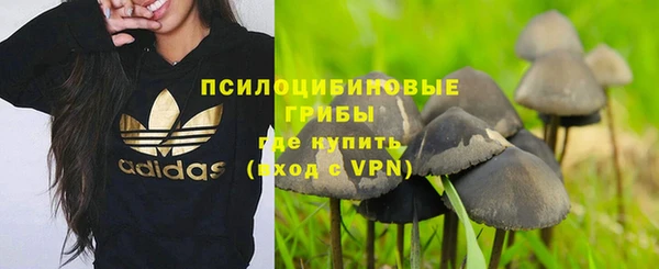 гашик Осташков