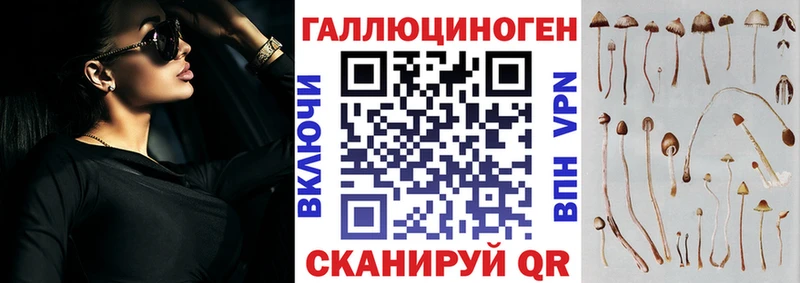 наркотики  маркетплейс какой сайт  Галлюциногенные грибы GOLDEN TEACHER  Лукоянов 